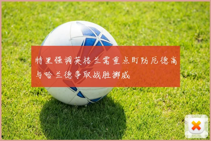 特里强调英格兰需重点盯防厄德高与哈兰德争取战胜挪威