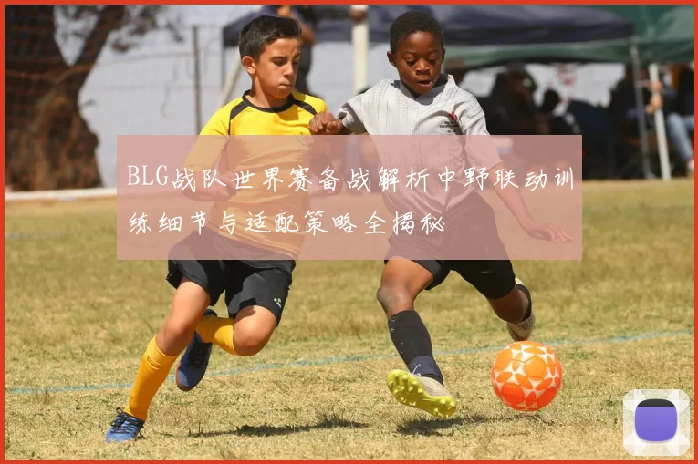 BLG战队世界赛备战解析中野联动训练细节与适配策略全揭秘